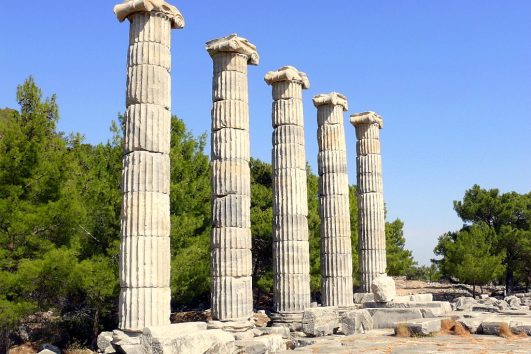 Priene Miletus Didyma Tour