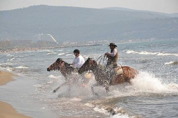 Horse Ride