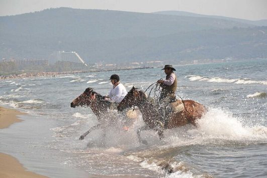 Horse Ride